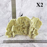 Fire Slab Coral 7-10"