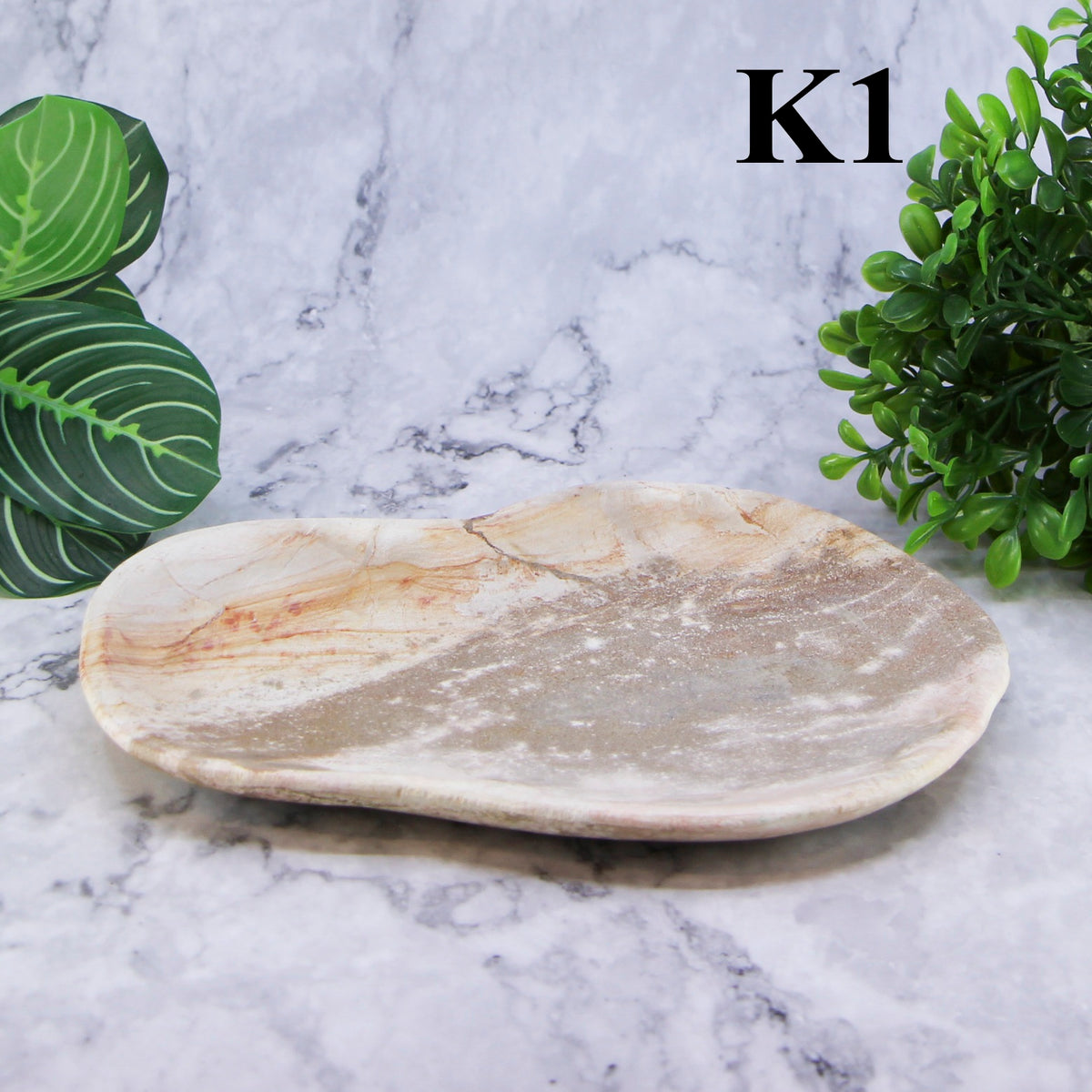 Petrified Wood Plates 7-10"