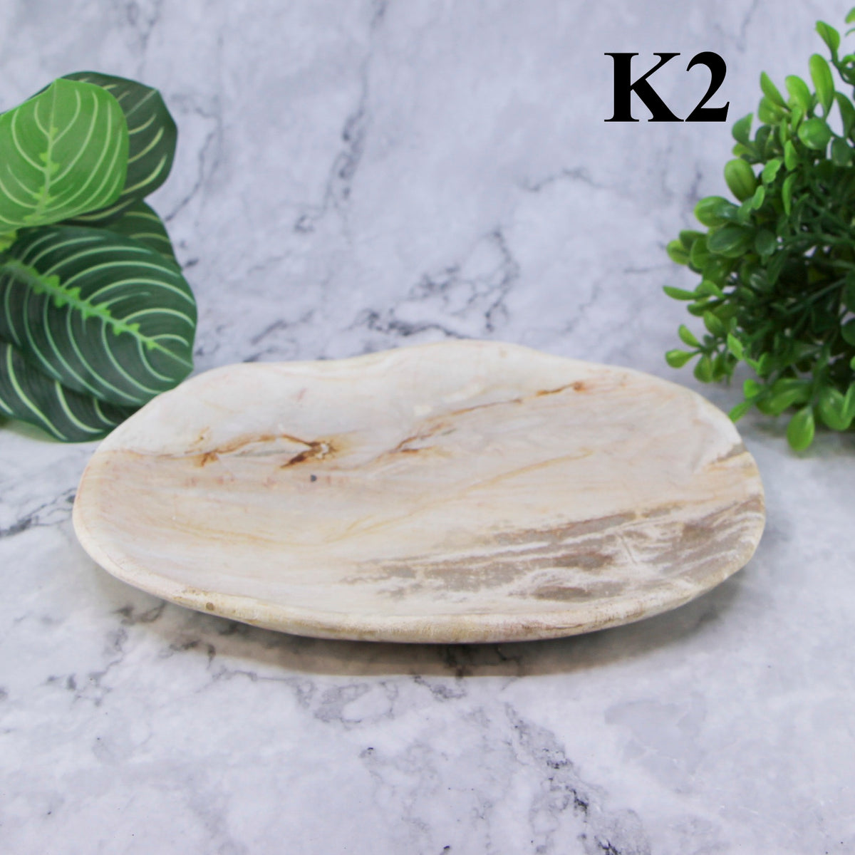 Petrified Wood Plates 7-10"