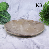 Petrified Wood Plates 7-10"
