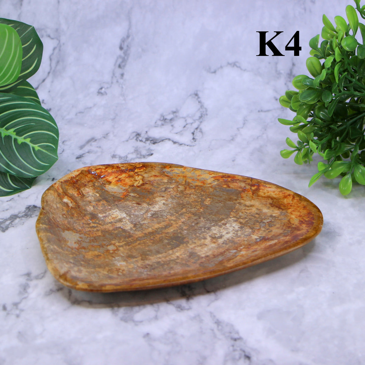 Petrified Wood Plates 7-10"