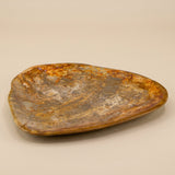 Petrified Wood Plates 7-10"