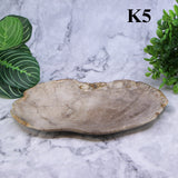 Petrified Wood Plates 7-10"