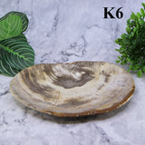 Petrified Wood Plates 7-10"