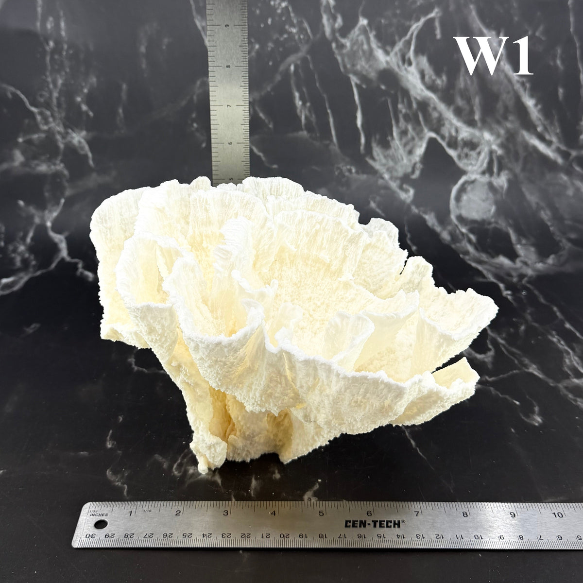 Poca Coral 7-10"