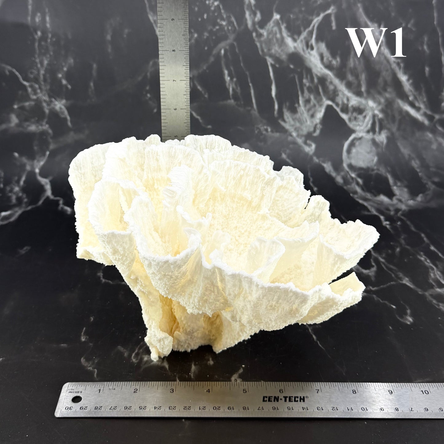 Poca Coral 7-10"