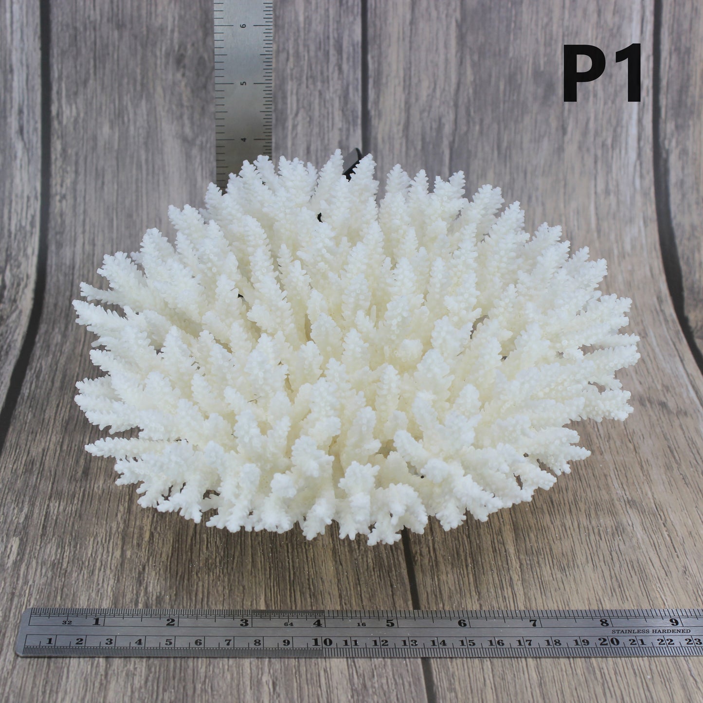 Table Coral 7-10"