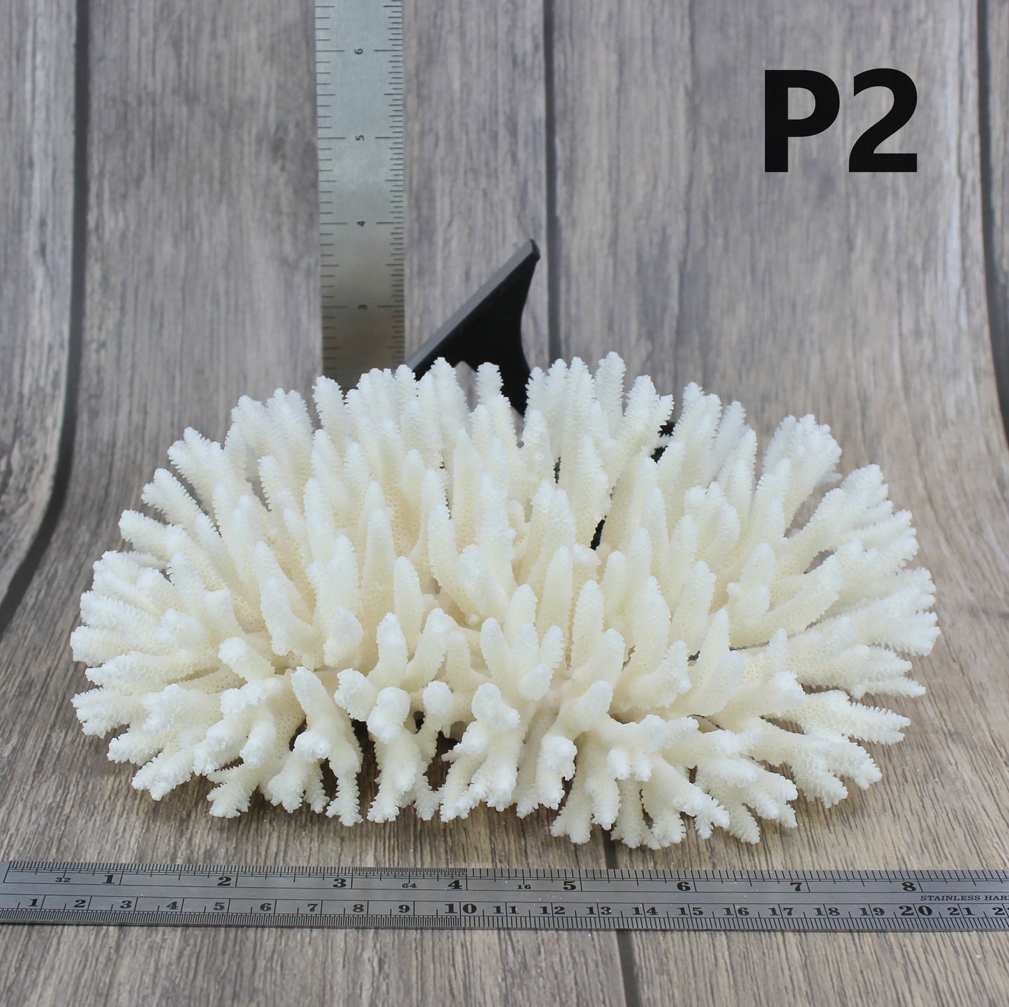 Table Coral 7-10"