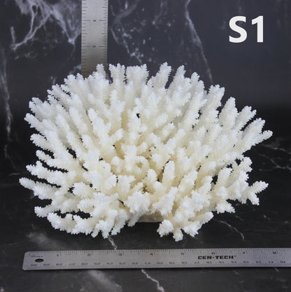Table Coral 7-10"