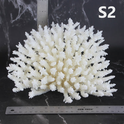 Table Coral 7-10"