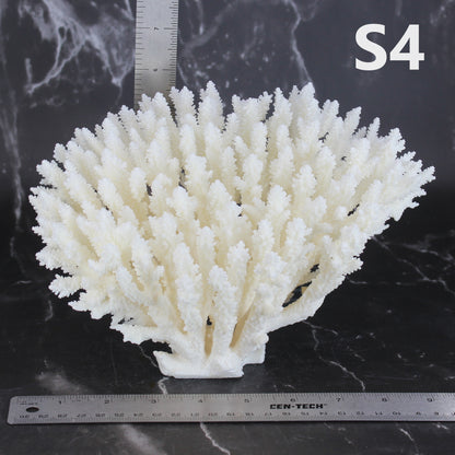Table Coral 7-10"