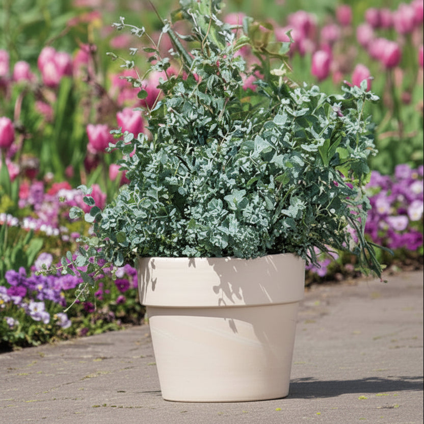 9.5' Calima Pots | Granite