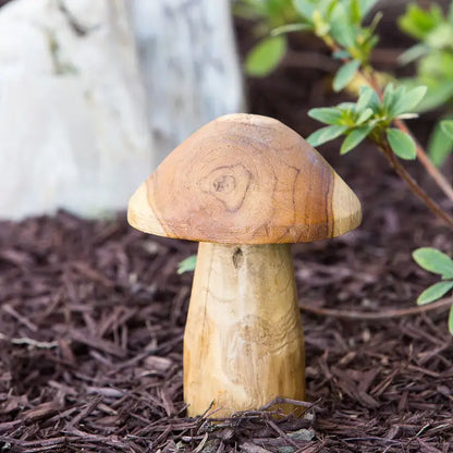 Teak Root Mushrooms