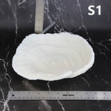 Coral Bowl 8-10"
