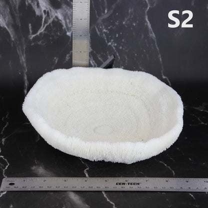 Coral Bowl 8-10"