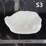 Coral Bowl 8-10"