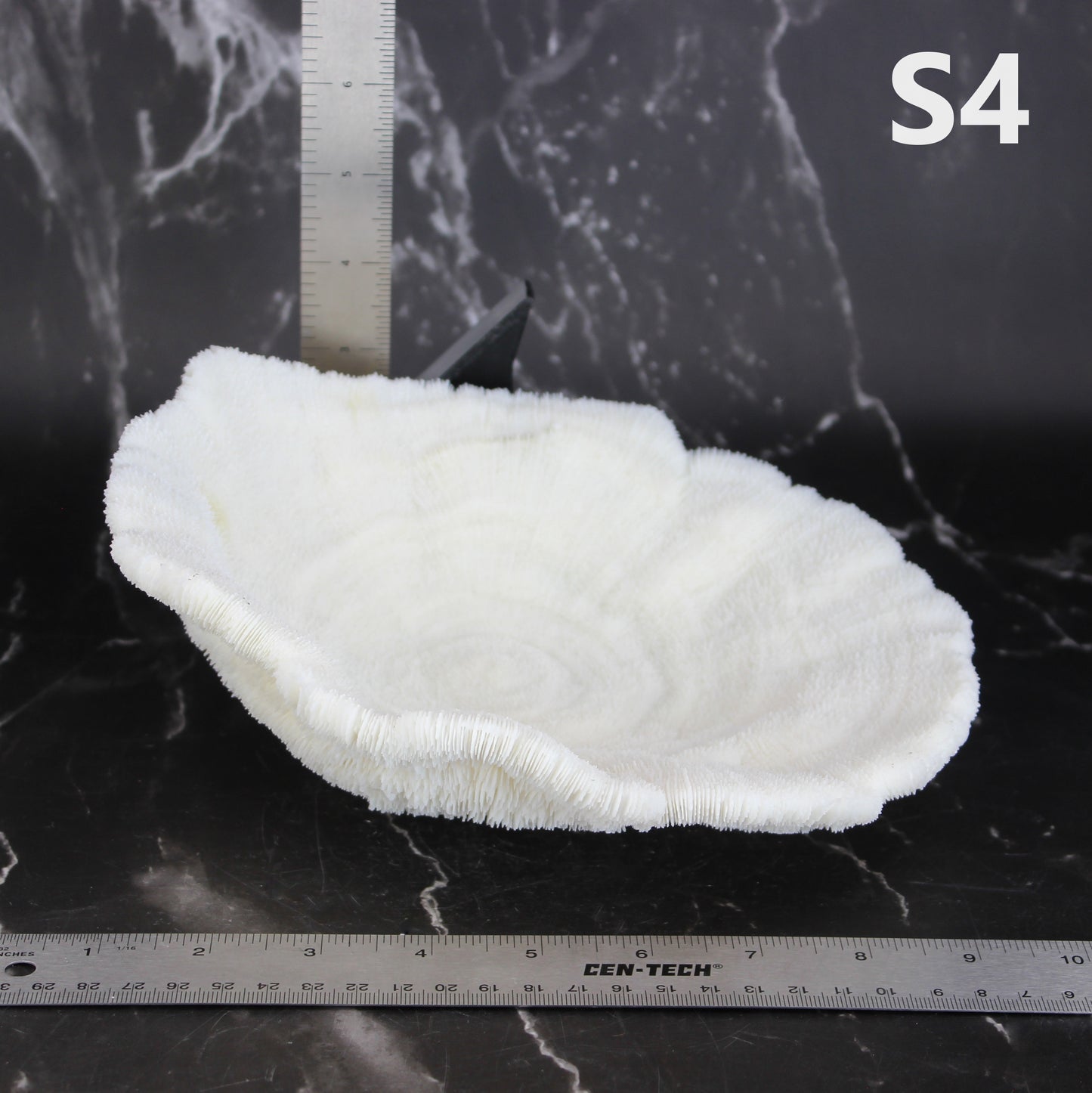 Coral Bowl 8-10"