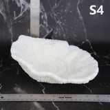 Coral Bowl 8-10"