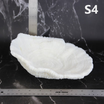 Coral Bowl 8-10"