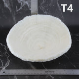 Coral Bowl 8-10"