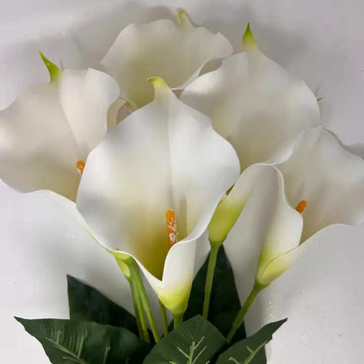 Large Eva Foam Calla Lilly Bush x7 - Cream 24"