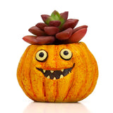 Animal Planters | Seasonal