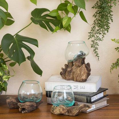 Blown Glass Vase On Chinaberry Wood