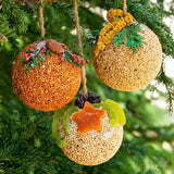 Fruit Ornaments