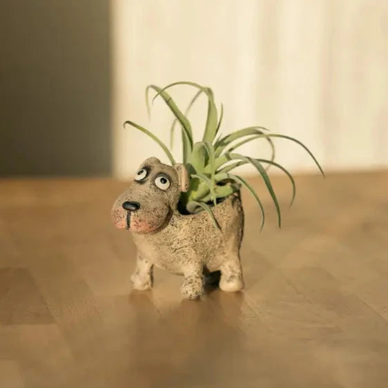 Animal Planters