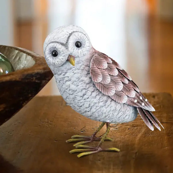 Barn Owl