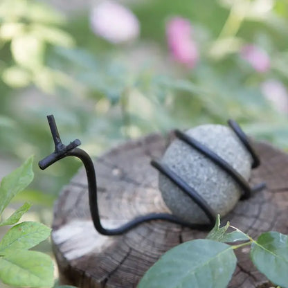 River Stone Snail