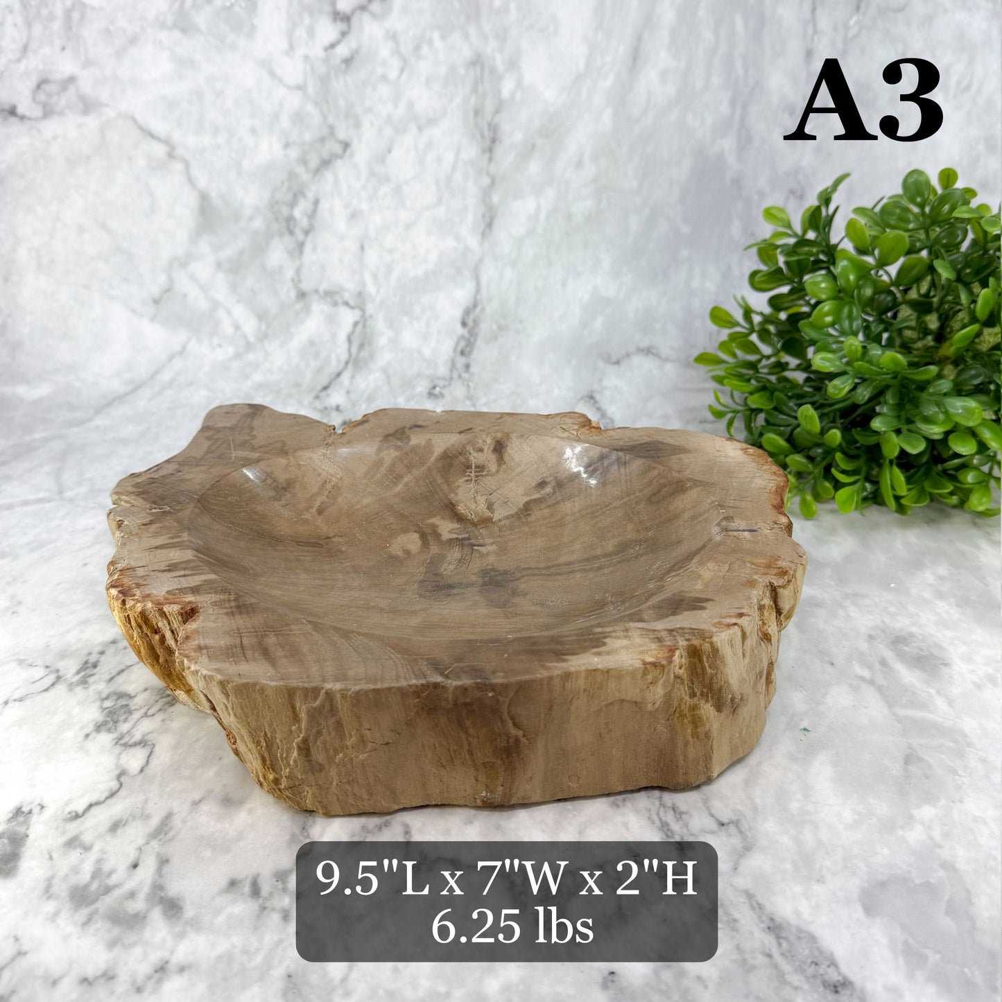 Garden Age Petrified Wood Bowls 9-10"