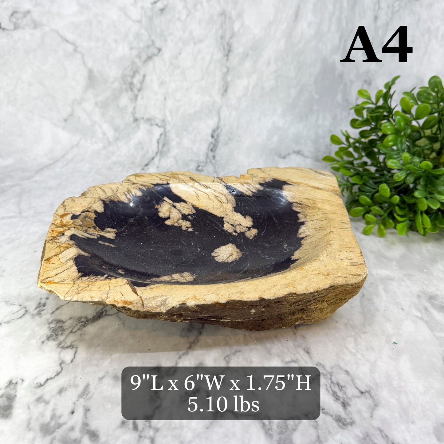 Garden Age Petrified Wood Bowls 9-10"