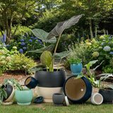 10" Bollé Pots with Water Saucers