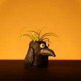 Animal Planters | Seasonal