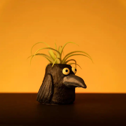Plant Animals | Seasonal
