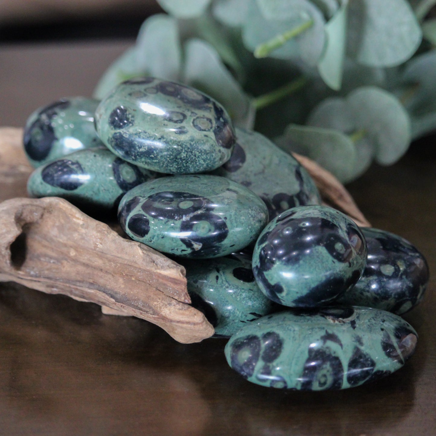 Kambaba Jasper Palm Stone