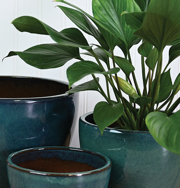 Bell Planter w/ Saucer | Jade