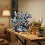 All Coral