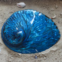 Midas Abalone Polished