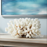 Brownstem Coral 10-12"