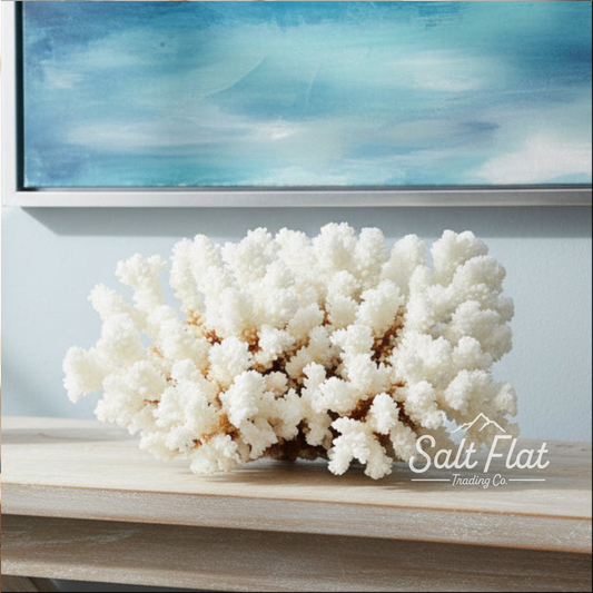 Brownstem Coral 10-12"