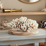 Brownstem Coral 12-14"