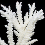 Branch Coral 12-14"