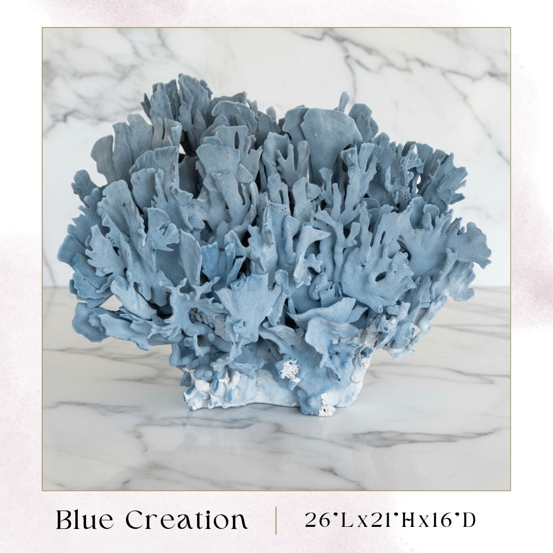 Exclusive Coral Drops | Week 4