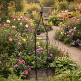 Solid Rose Topiaries | Black