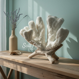 Catspaw Coral 14-16"