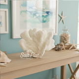Catspaw Coral 5-7"