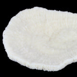 Coral Bowl 10-12"