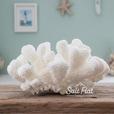 Cauliflower Coral 7-10"